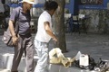 _MG_1807 _MG_1807