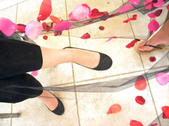 Labeur féminin, transparence, pétales artificielles
