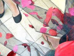 Pétales, gaze, pieds féminins