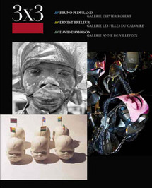 David Damoison à la Galerie Anne de Villepoix - 5 juin au 15 juillet 2010 David Damoison à la Galerie Anne de Villepoix - 5 juin au 15 juillet 2010