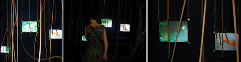 Vert d'eau - Video installation à la Triennale d'Art Urbain SUD 2010
