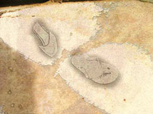 Destruction de l'Afrique © Ishmir Destruction de l'Afrique © Ishmir