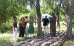Ayiti à la Reunyon