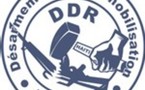 Programme National de Désarmement, Démobilisation et Réintégration (DDR)
