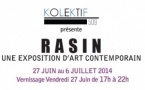 RASIN - Une exposition d'art contemporain, 27 juin au 6 juillet 2014 - Vernissage le 27 juin, de 17h à 22h, Villa Kalewès