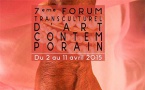 Forum Transculturel d'Art Contemporain, 7e édition - 2 au 12 avril 2015