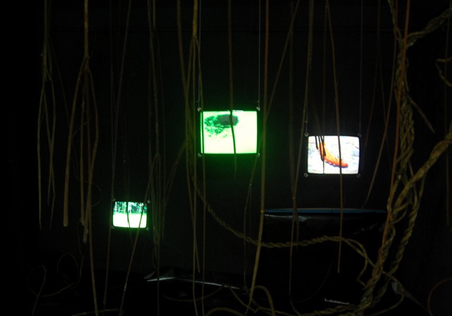 Vert d'eau Vert d'eau