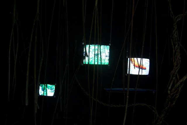 Vert d'eau Vert d'eau