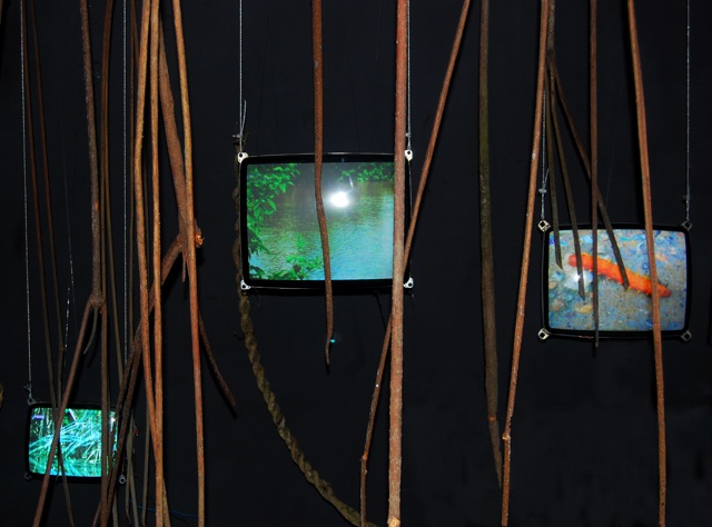 Vert d'eau - Video installation Vert d'eau - Video installation