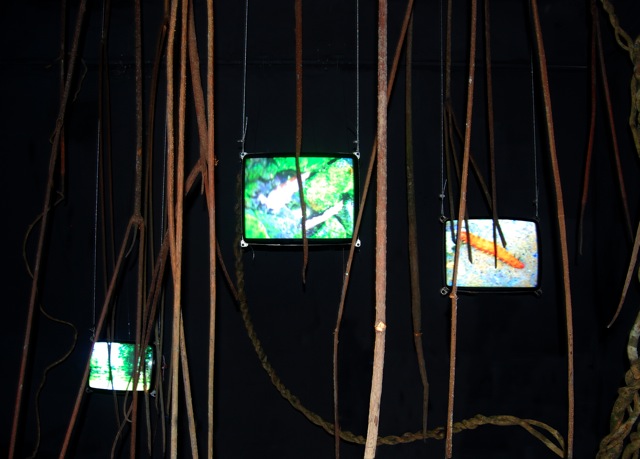 Vert d'eau - Video installation Vert d'eau - Video installation