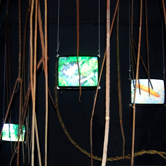 Vert d'eau - Video installation Vert d'eau - Video installation