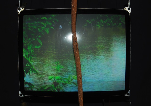 Vert d'eau - Video installation Vert d'eau - Video installation