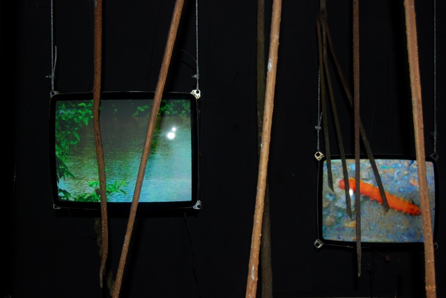 Vert d'eau - Video installation