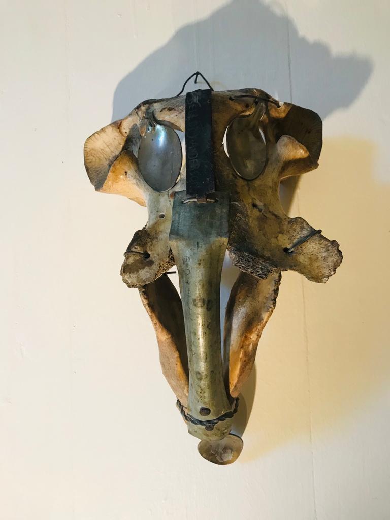 PHOTO-2022-03-14-12-12-13 8 PHOTO-2022-03-14-12-12-13 8