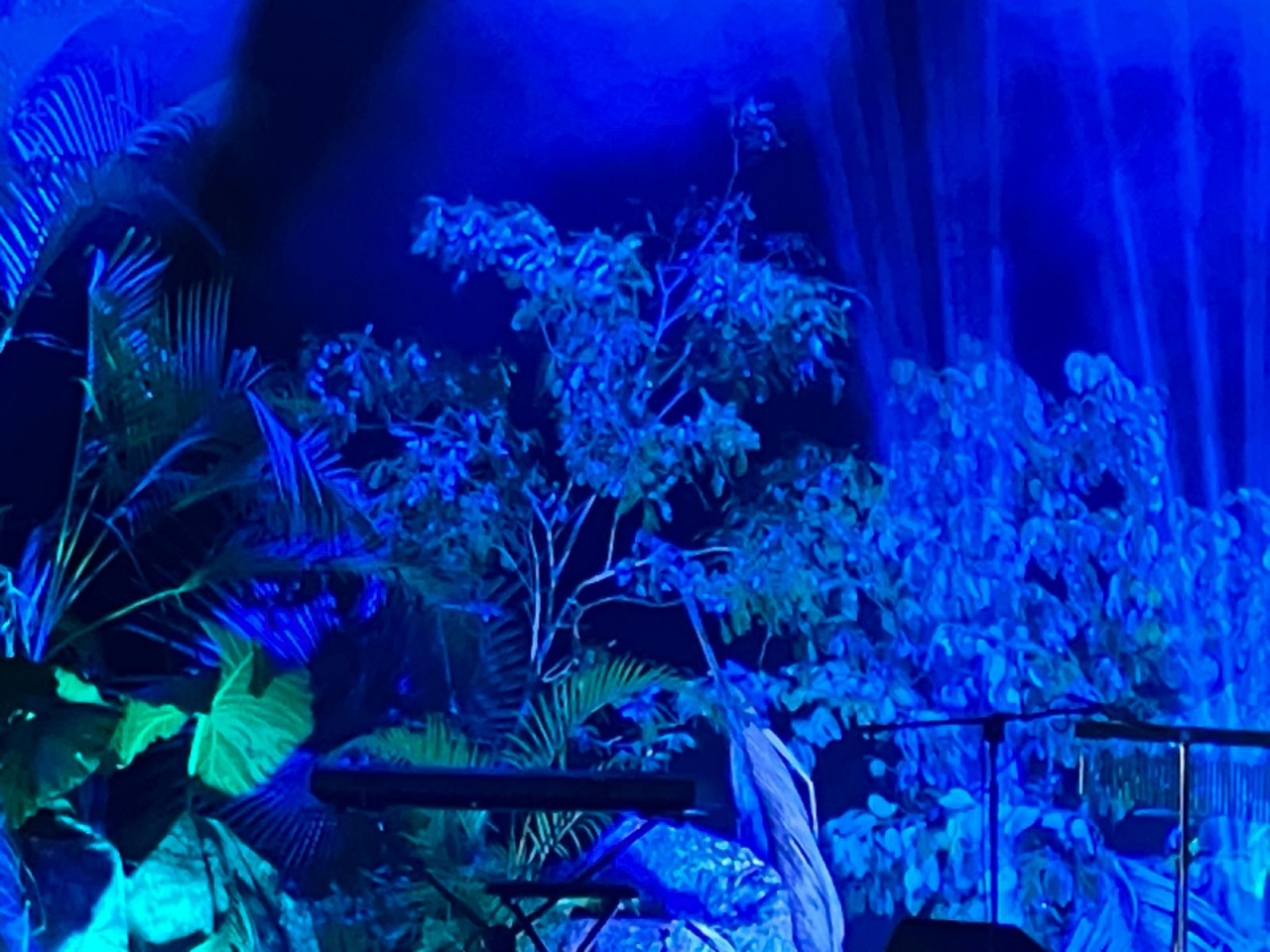 c541a1ed-55d9-46b0-be04-472b21eeec4c c541a1ed-55d9-46b0-be04-472b21eeec4c