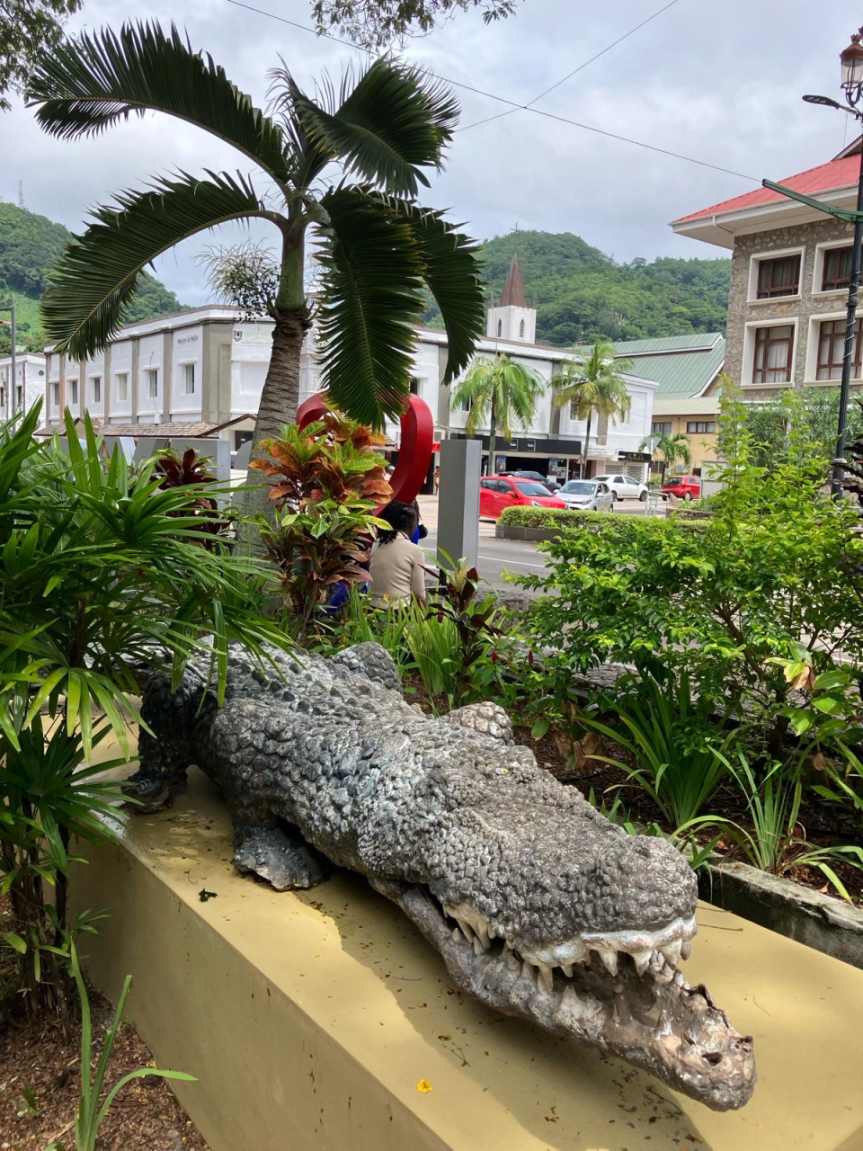 PHOTO-2024-03-05-06-47-36 1 PHOTO-2024-03-05-06-47-36 1