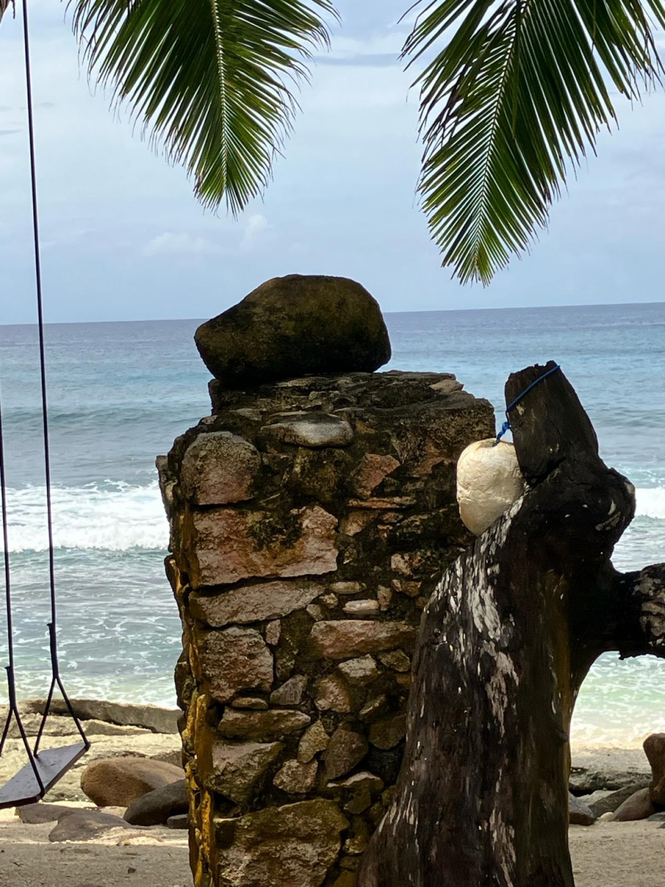 PHOTO-2024-03-05-06-47-36 3 PHOTO-2024-03-05-06-47-36 3