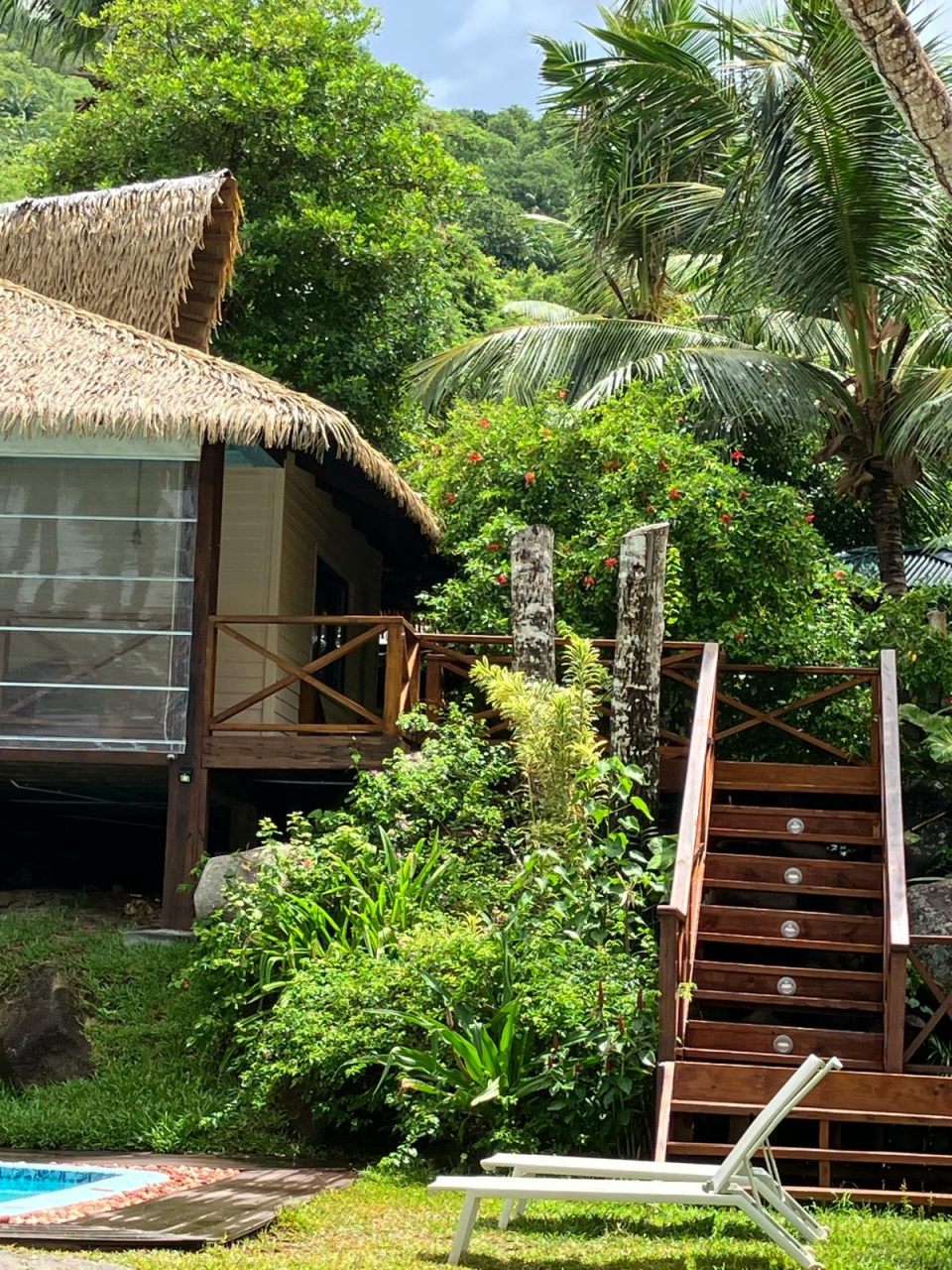 PHOTO-2024-03-05-06-47-36 5 PHOTO-2024-03-05-06-47-36 5