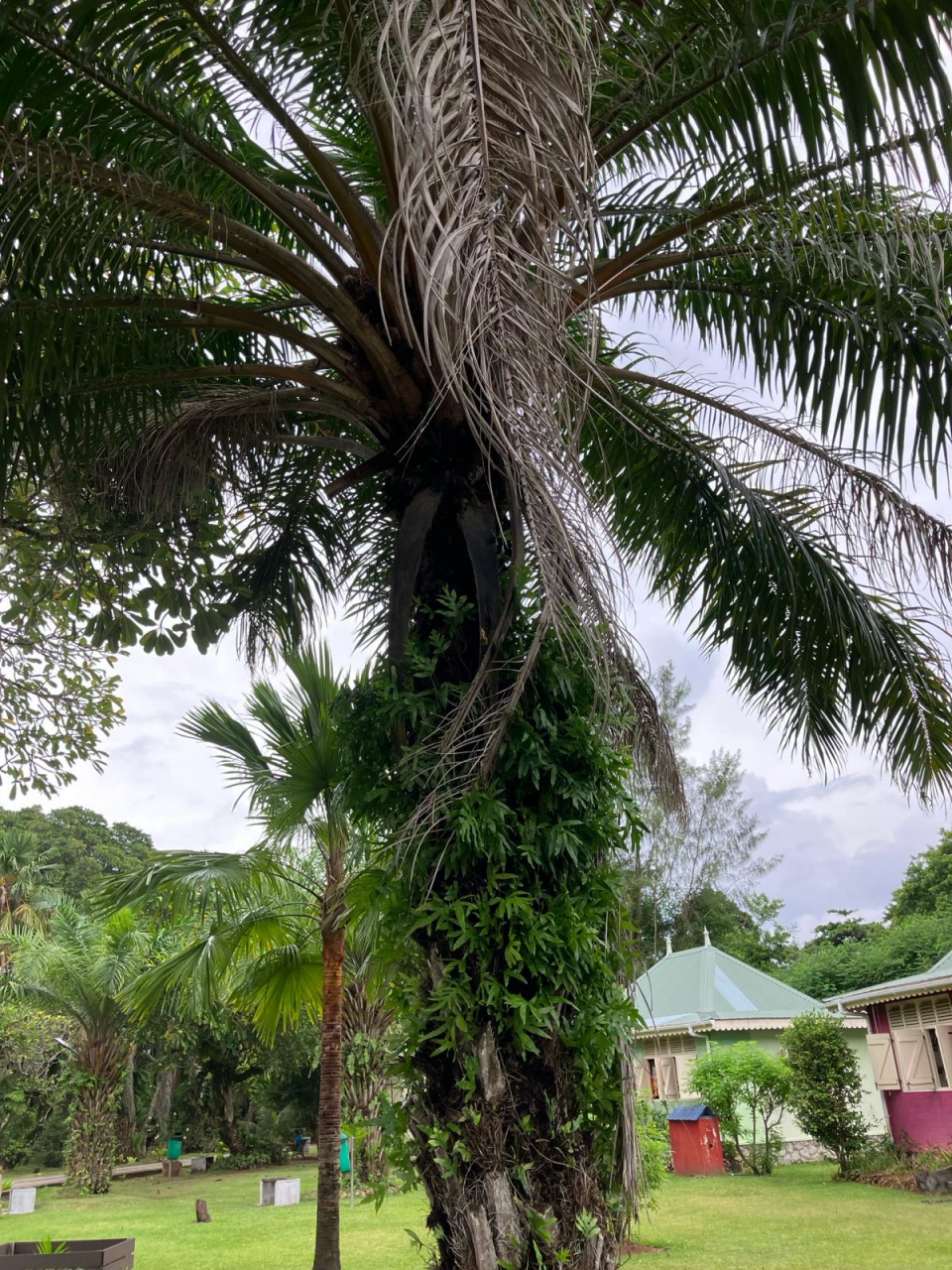 PHOTO-2024-03-05-06-47-36 PHOTO-2024-03-05-06-47-36