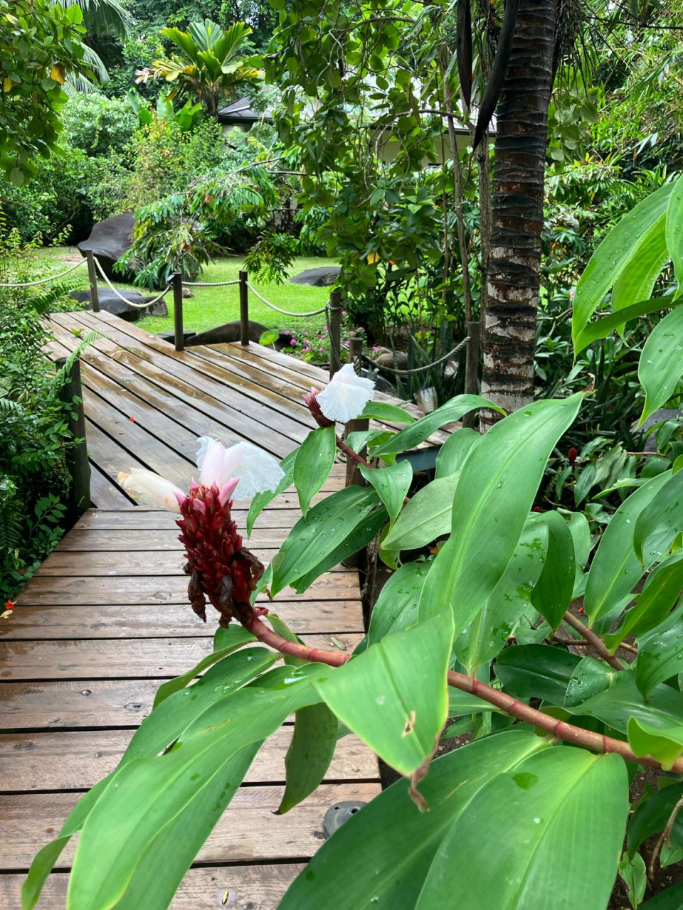 PHOTO-2024-03-05-06-47-40 1 PHOTO-2024-03-05-06-47-40 1