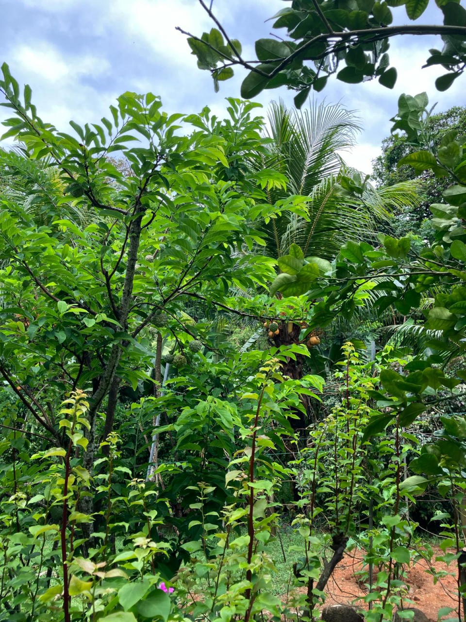 PHOTO-2024-03-05-06-47-41 2 PHOTO-2024-03-05-06-47-41 2