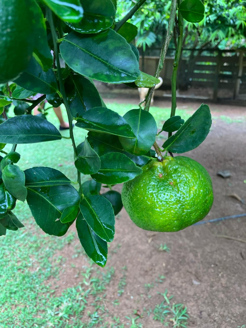 PHOTO-2024-03-05-06-47-41 5 PHOTO-2024-03-05-06-47-41 5