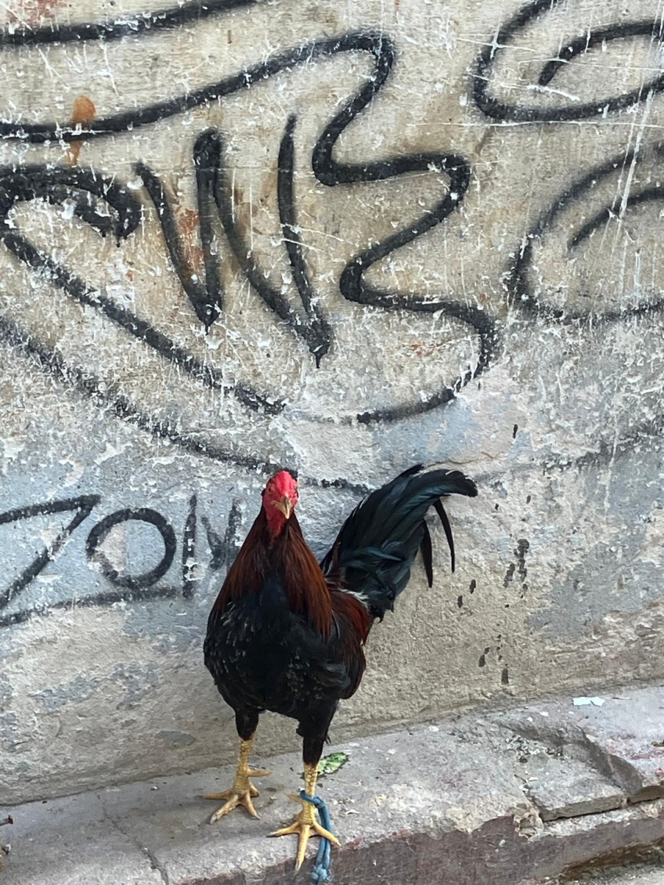 PHOTO-2024-11-13-08-51-47 PHOTO-2024-11-13-08-51-47