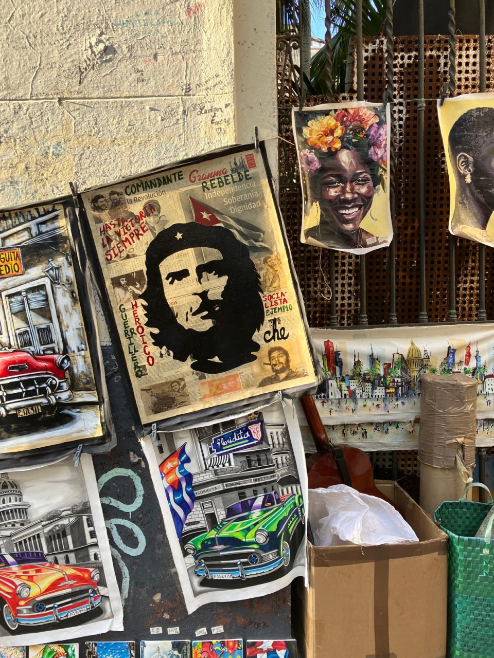 PHOTO-2024-11-13-08-51-57 PHOTO-2024-11-13-08-51-57