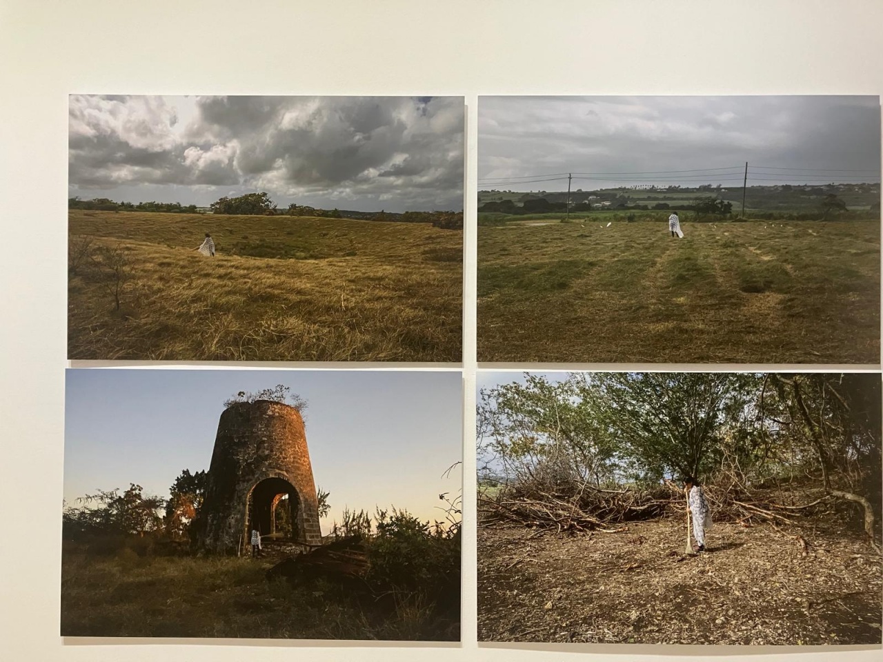 Analee Davis, Barbade Analee Davis, Barbade