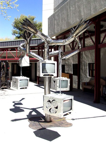 Joshua Tree de Maxence Denis